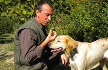 Truffle Hunt & Wine Tasting