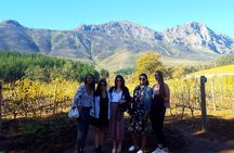 Vine Hopper: Hop-On Hop-Off Wine Tour - Northern Route