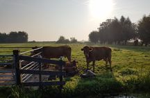 Zaanse Schans and Volendam Private Tour – Clogs, Cheese and More