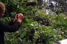 3 Days Gorilla Adventure Safari in Uganda