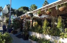 Haifa Culinary Private Tour