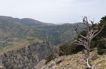Rethymno Land Rover Safari with Lunch and Drinks