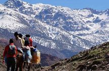 Atlas Mountain& berber village Day trip from Marrakech 