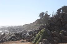 wetravelneruda’s route - Pablo Neruda’s route - Private tour