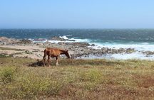 wetravelneruda’s route - Pablo Neruda’s route - Private tour