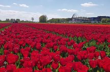 Keukenhof Skip-the-line Tickets: Countryside & Farm Private Tour