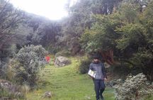 Day Tour to the Cajas National Park & Hosteria Dos Chorreras 