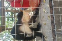 Roatan Excursion: Beach Break/ Plus Sloth Park and Snorkel Adventure 