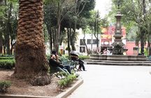 Bazaar Saturday - Convent of Carmen - San Angel