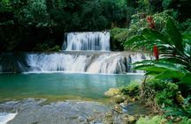 Appleton and Y.S Falls Tour from Negril Hotels