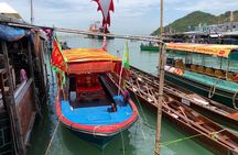 Private 5-Hour Driving Tour of Lantau from Hong Kong