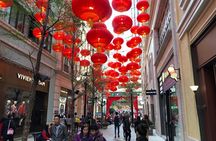 8-Hour Private Hong Kong Layover Tour