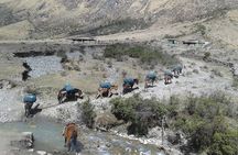 5 Day Trekking Salkantay Snow Peak Route to Machu Picchu from Cusco