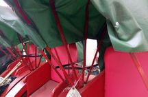 VIP Private Hong Kong City Sightseeing Tour