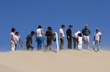 Buggies & Sandboard from Paracas
