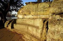 Private Sydney City and Bondi Beach Half Day Tour