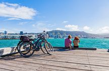 Easy Rider Two-Hour Wellington eBike Tour