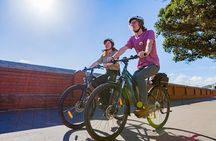 Wellington Guided eBike Tour-Cruise Shore Excursion