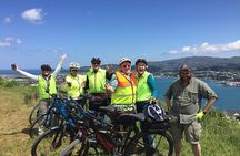 Guided Wellington Tour by Electric Bike