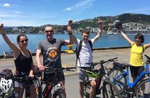 Guided Wellington Tour by Electric Bike