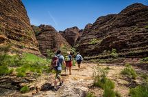 Bungle Bungle Scenic Flights, Domes & Cathedral Gorge Walk