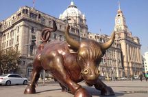 Full Day Private Tour Amazing Shanghai City Highlights