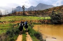 1h30m – Horse Trail