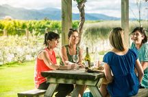Full Day Winemakers Tour in Marlborough