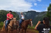 West Maui Mountain Waterfall and Ocean Tour via Horseback