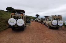 5 Days Wildebeest Migration Safari
