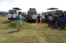 5 Days Wildebeest Migration Safari