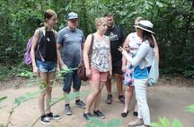 Private Cu Chi Tunnels Tour from Phu My Port