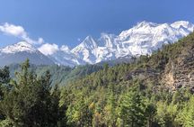 Annapurna Base Camp Trekking 
