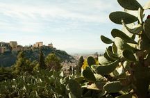 Granada: Sacromonte Private Tour