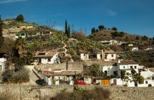 Granada: Sacromonte Private Tour
