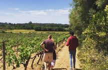 Sa Clasta Mallorca Wine Tours