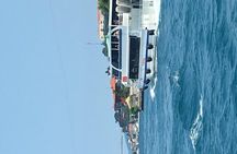 Bosphorus Cruise With Dolmabahçe Palace and Fortresses