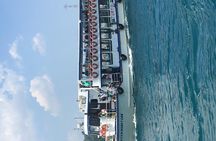 Bosphorus Cruise With Dolmabahçe Palace and Fortresses