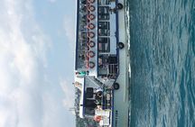 Bosphorus Cruise With Dolmabahçe Palace and Fortresses