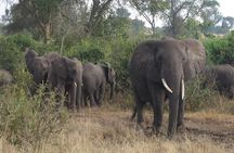 3 Days Murchison Falls Holiday Safari