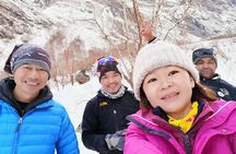 Annapurna Base Camp Treks