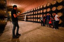 Wine Route tour starting from Querétaro