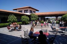 Cheese and Wine Route Tour with starting from Querétaro