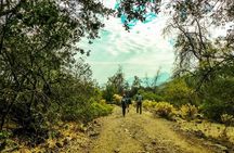  Andes Hike 12k - Private