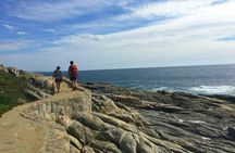 Pacific Ocean Hike Private Tour 7K