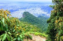 Private Hiking Tour to Tijuca Peak - Tijuca National Park - by OIR Aventura