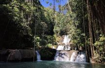 Black River Safari and YS Falls Private Tour