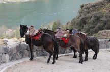 Private Quilotoa Lagoon and Toachi Canyon Including Local Family Visit