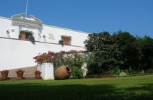 Larco Museum Tour & Gastronomic Experience with rountrip transfer