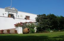 Lima´s Vibrant Heritage & Larco Museum of Cultures Half Day Tour